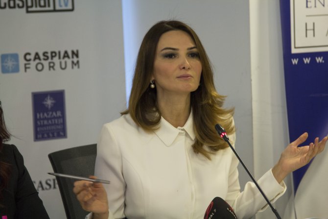 Azerbaijani MP harshly slams Armenian counterpart